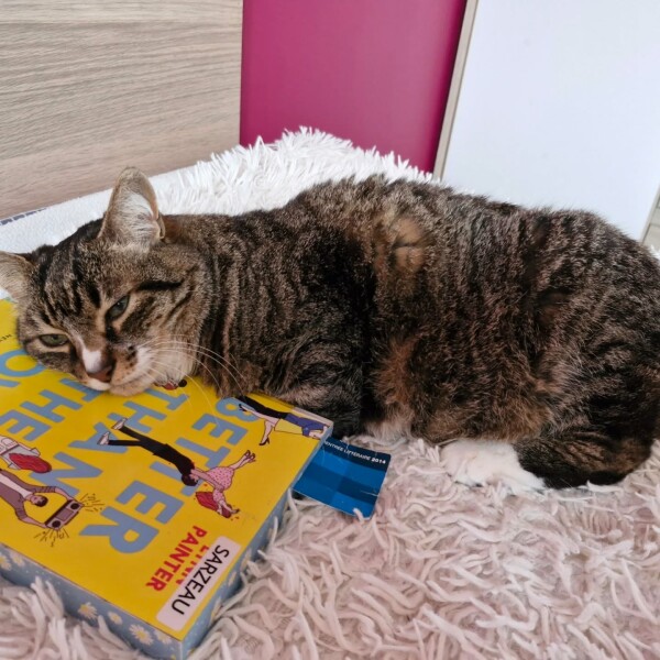 Trop bien ce livre pour poser sa petite tête ! Kinou ️