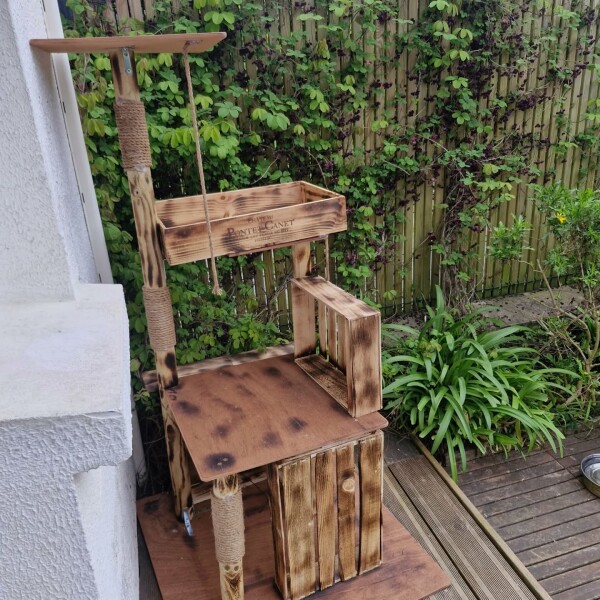 L’environnement du chat joue un rôle essentiel dans son équilibre émotionnel.