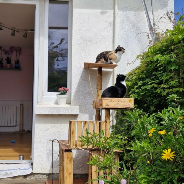 Très intéressées par un petit papillon ️