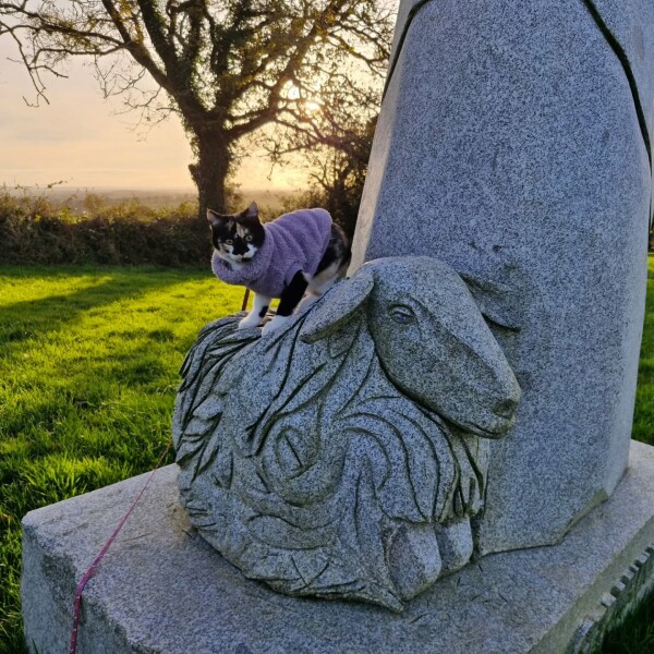 Arizona a été découvrir la vallée des saints avec ses copines Zyna et Luna ️