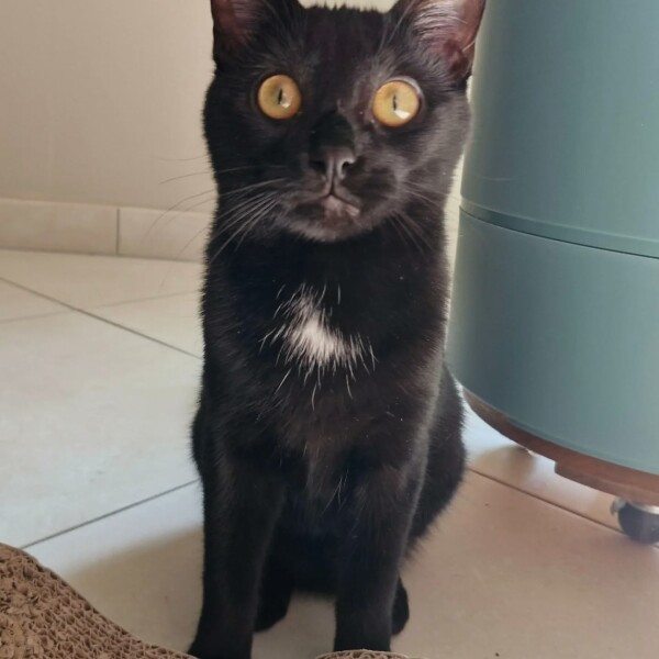 Consultation préventive – Mystie, 7 mois