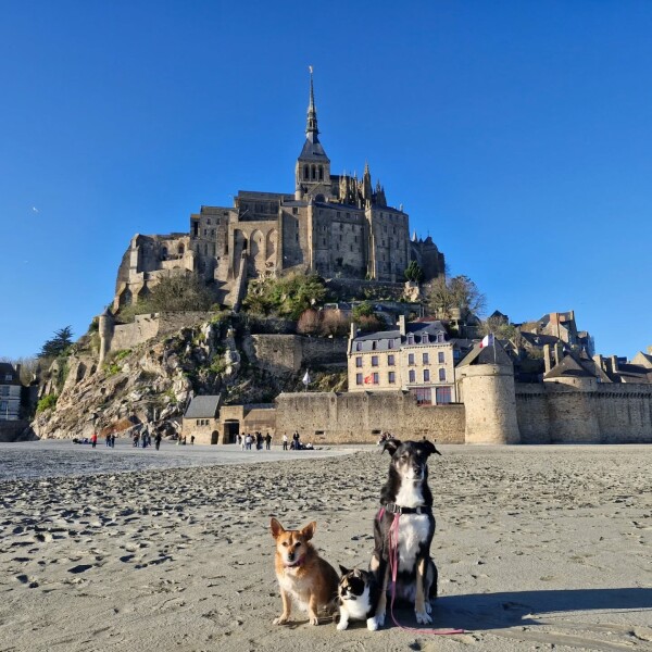 Zyna , Luna et Arizona devant le mont St Michel ️