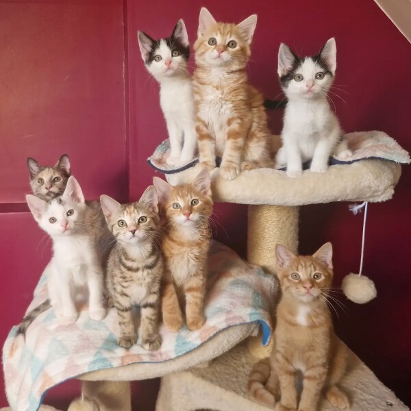 Photo de classe ️