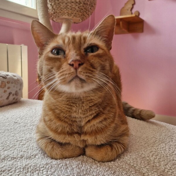 15 ans aujourd'hui pour mon petit bonhomme ! Joyeux anniversaire Locky ️