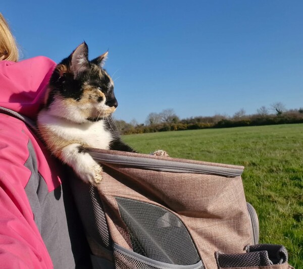 A la cool la petite Arizona lors de sa balade ️