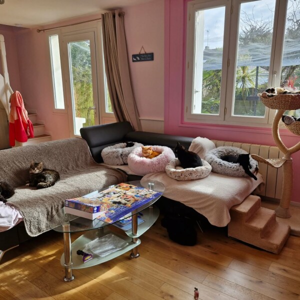 Mes 9 chats d'Amour en pleine sieste : Violette, Kinou, Cerise, Locky, Iris, Gaïa, Lilas, Arizona et Yoko qui est juste descendue du canapé à mon arrivée ️